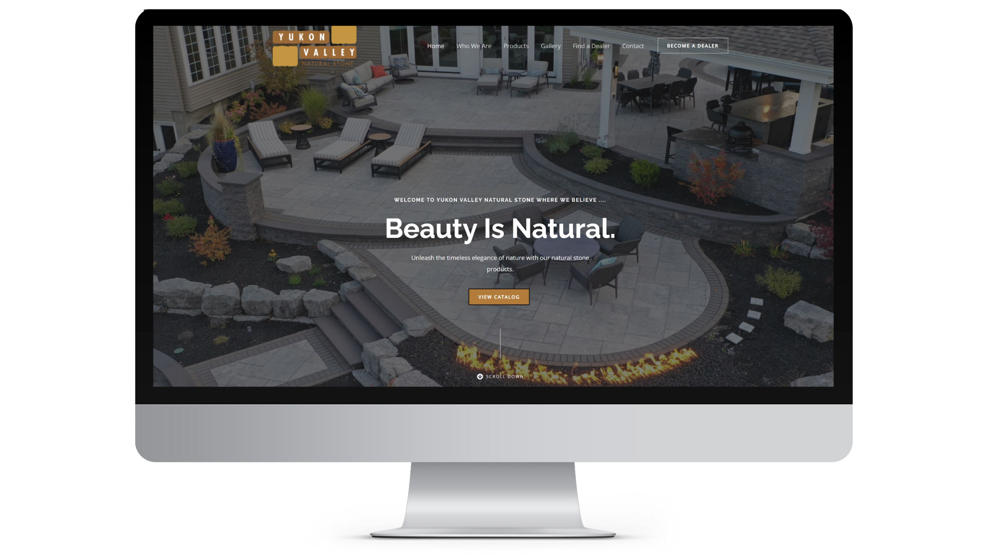 Trendtivity marketing agency portfolio showcasing recent branding and social media projects